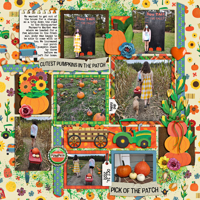 2020_1024_SkinquarterFarmersMarket-2-w