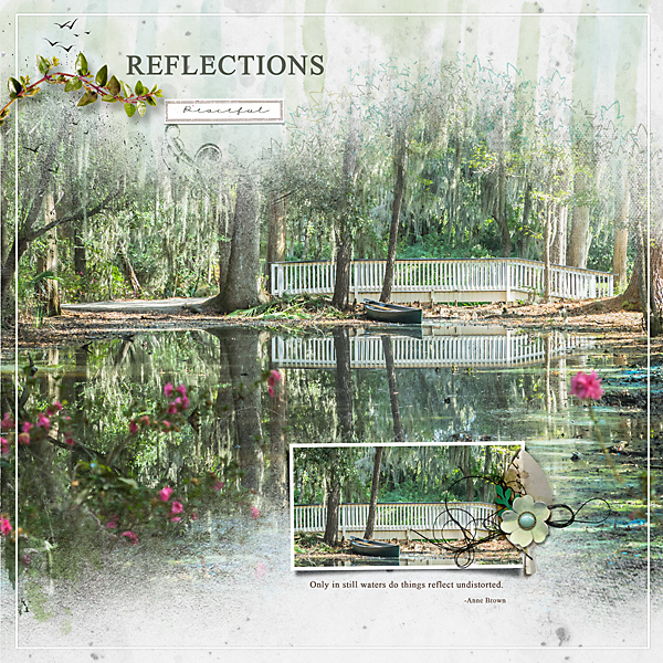 2020_11-Chareleston_magnolia-Reflection