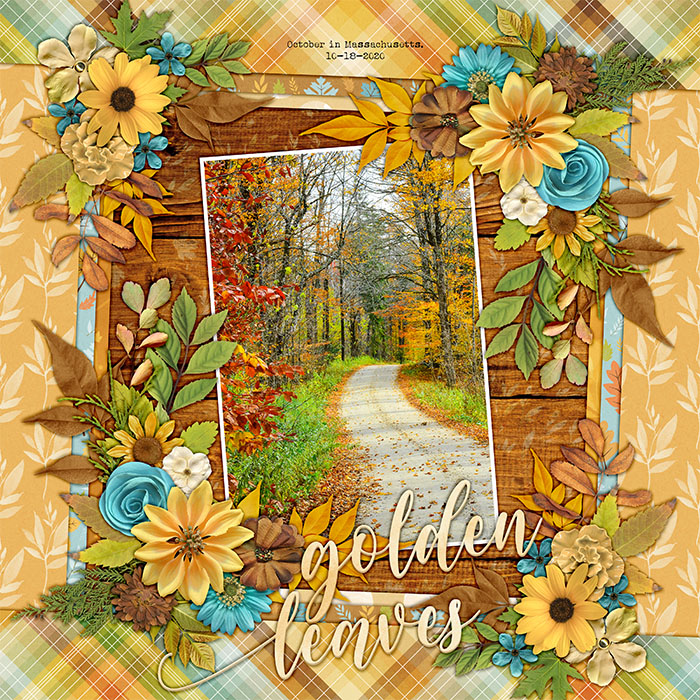 2020_oct_18_leaves_kcb_golden_days