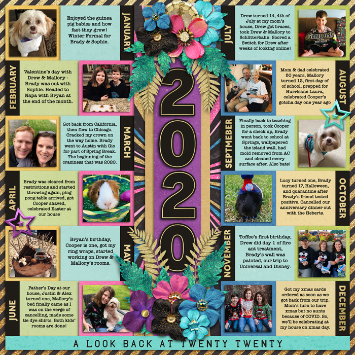 2020reviewweb