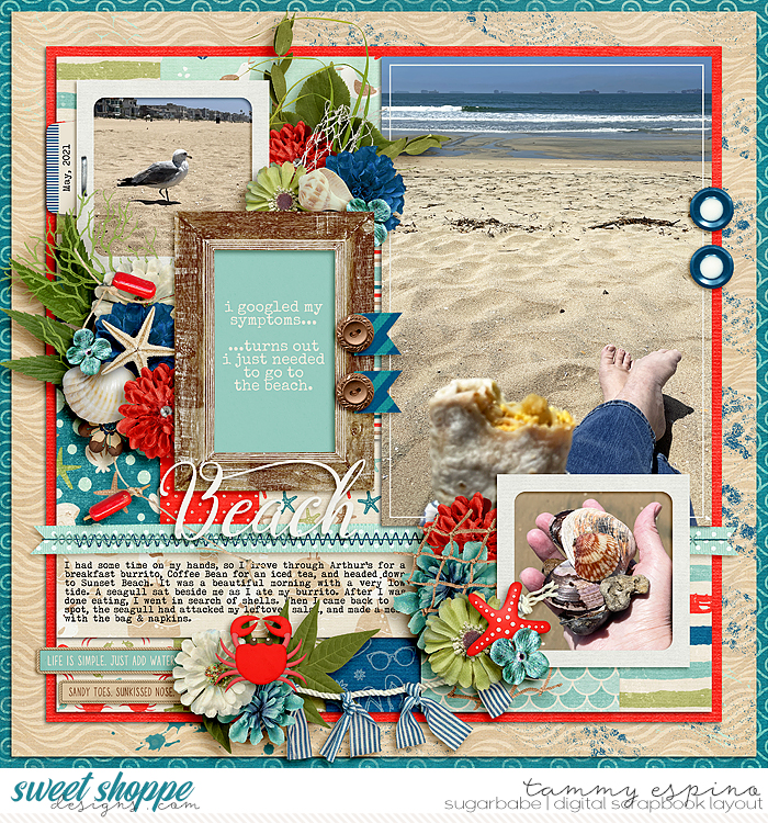 2021-05_ljs-CoastalCraze_cs-HP320_babe