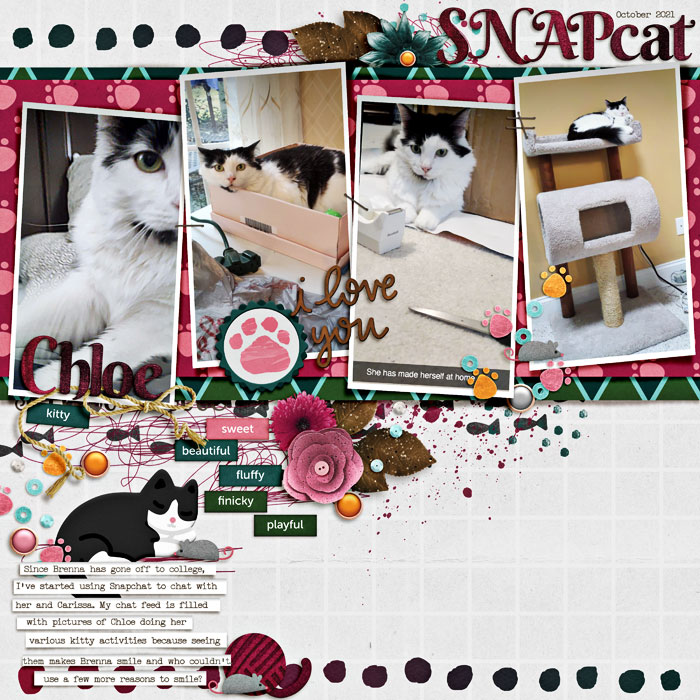 2021_10_Chloe-Snap-cat-w-700px