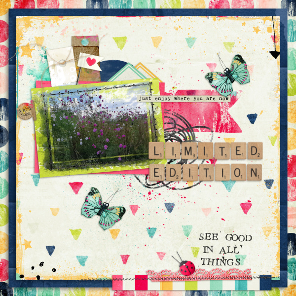 2022-04-06_LimitedEdition