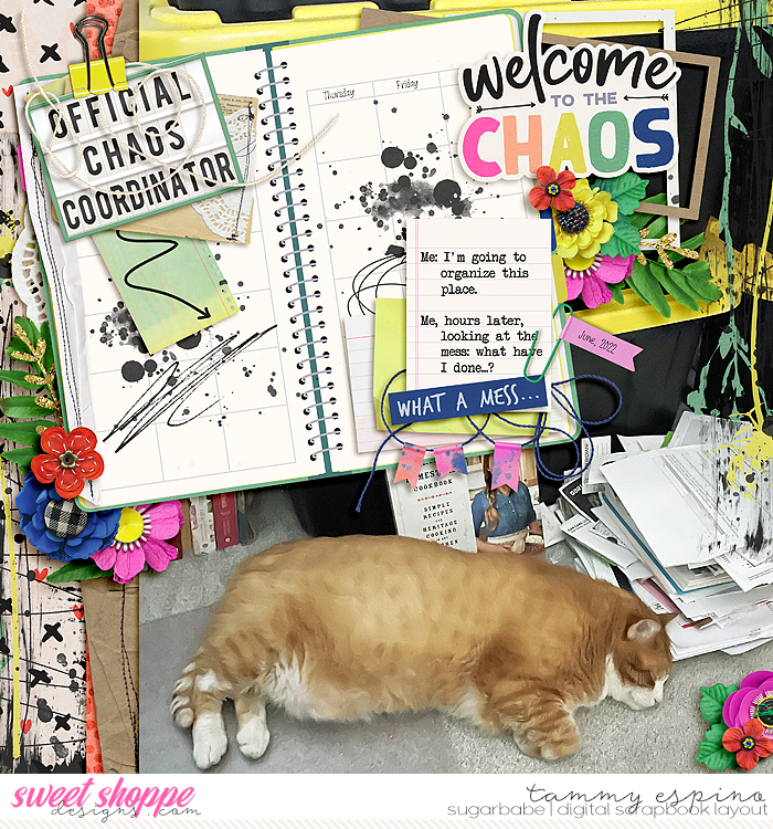 2022-06_ez-OrganizedChaos_babe