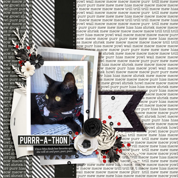 2022-0702-Purr-A-Thon