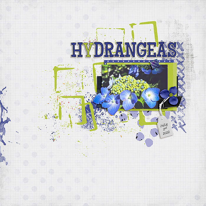 2022-0702-hortensia-bleu700