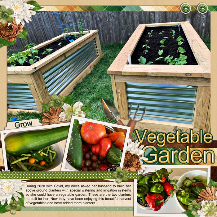 2022-0811-Garden