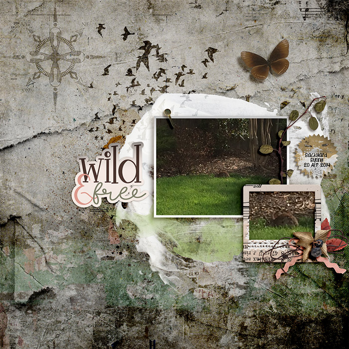 20220305lbwwildfree7