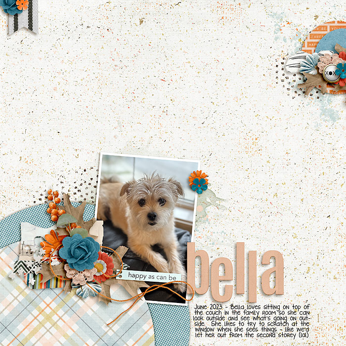 2023-06-Bella-happy