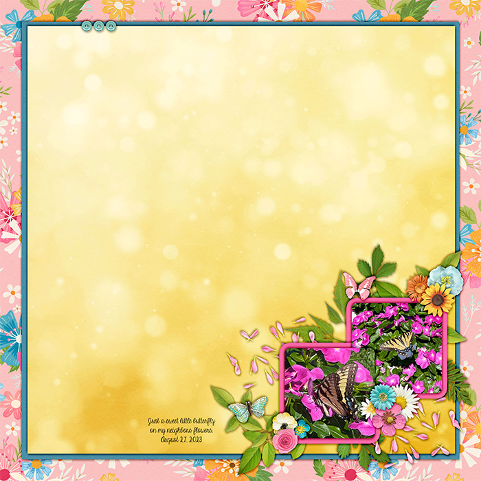 2023-aug-27-butterfly-kcb-fresg-air-n-sunshine