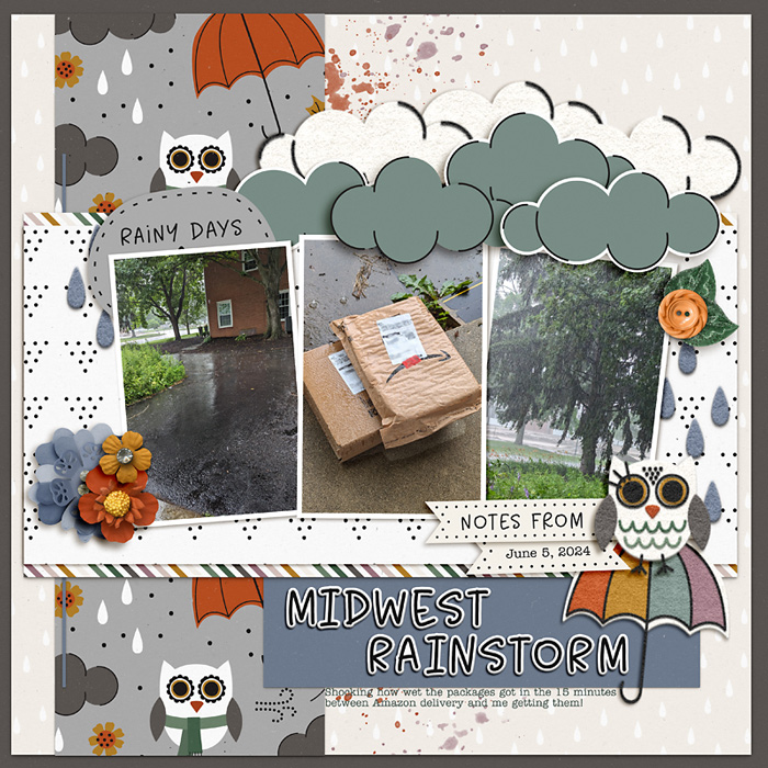 2024-06-Amazon-Wet-copy