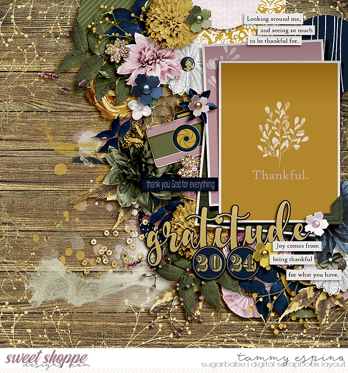 2024-11_ck-PracticingGratitude_fdd-CircleHarmony_babe