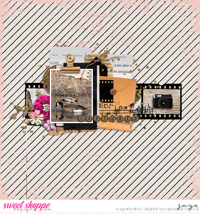 20240405-SweetDoll