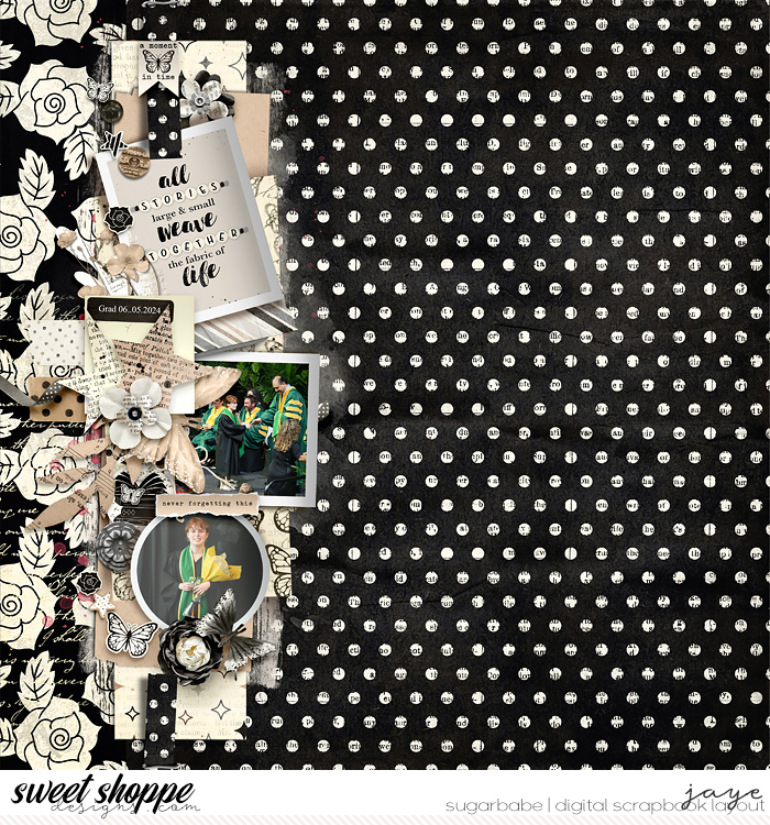 20240606-TraciReed_TNP-copy