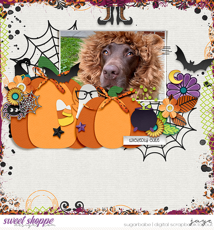 20241025-FDD_pumpkin2