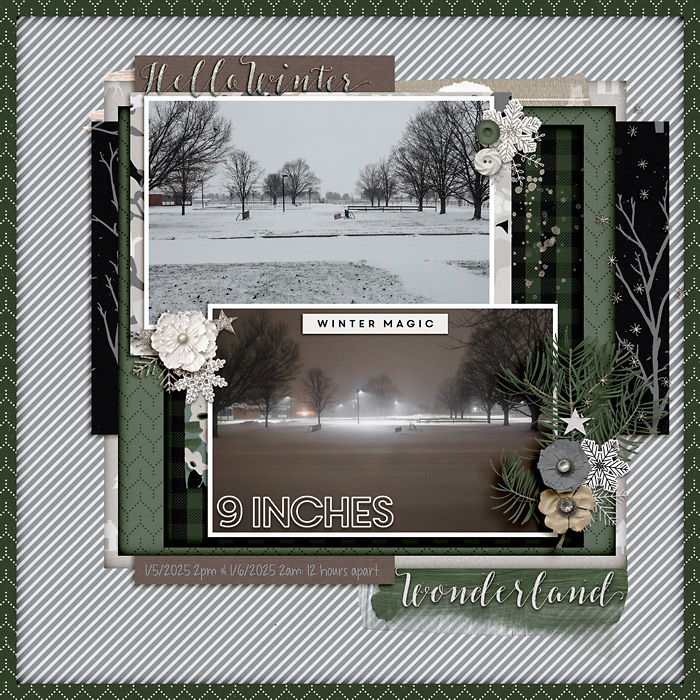 2025-01-Winter-Photos-copy