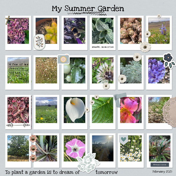 2025-February-My-Summer-Garden