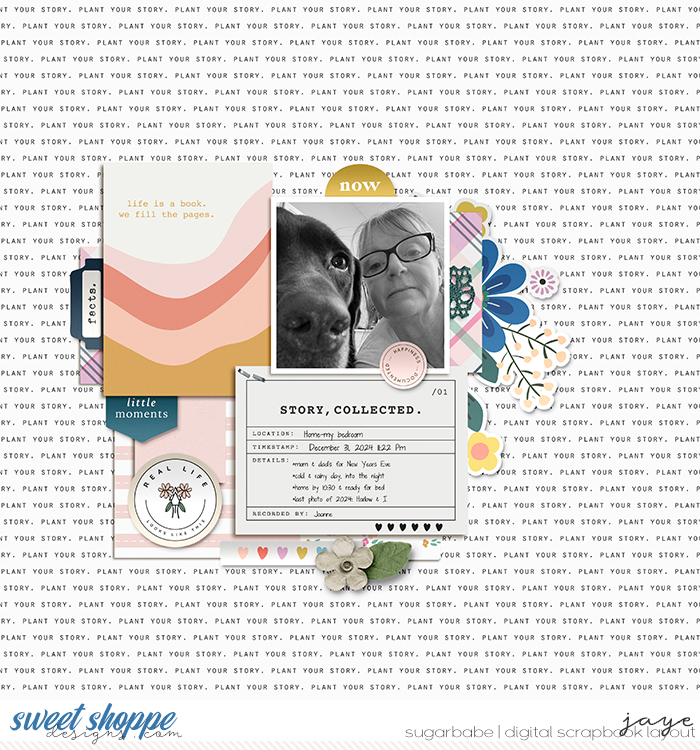 20250103-PlantYourStory_SGleason