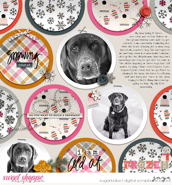 20250111-SnowDay_AllisonP