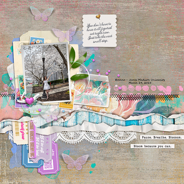 2025_0329_Brenna-JMU-grad-cherrytrees-w-700px