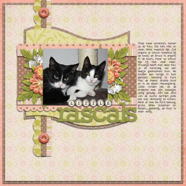 22_-Little-rascals-ssd