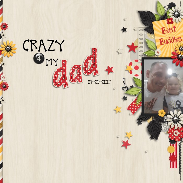 26_20180128_dad_Custom_