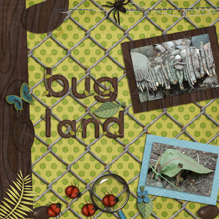 27-bugland-700