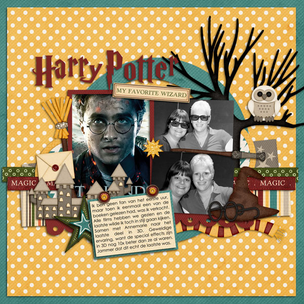 39-Harry-Potter-ssd