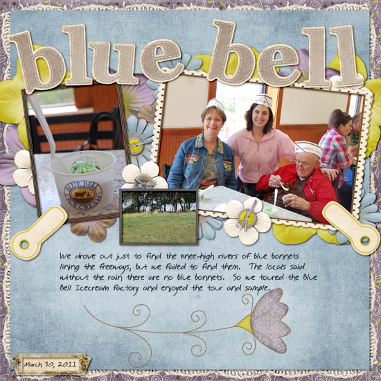 3_blue_bonnet_copy
