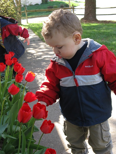 4-08_Ben_learning_to_smell_flowers_9_