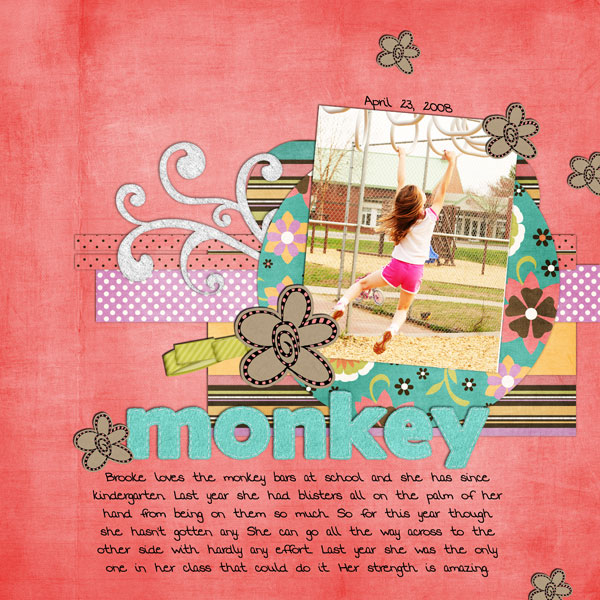 4-23-08-Monkey