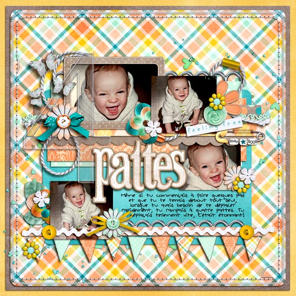 4-pattes2