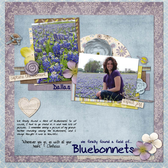 4_bluebonnets_copy