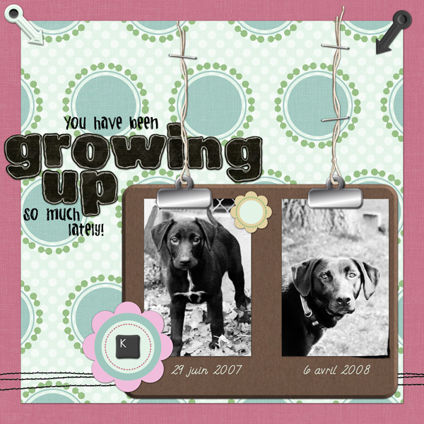 5-grow