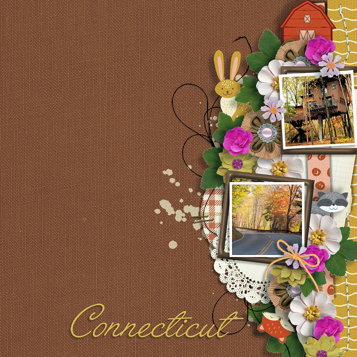 50_States_Connecticut