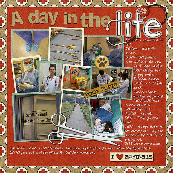 7-day-in-the-life