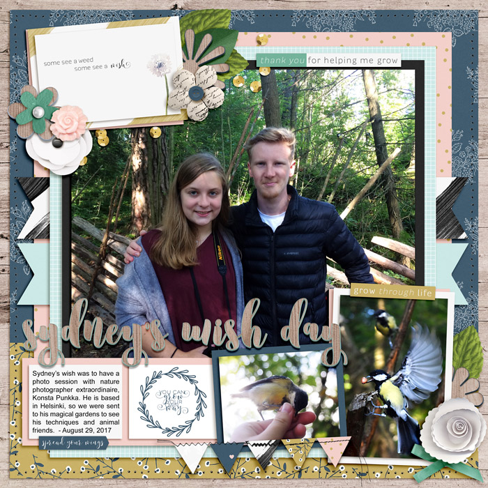 8-2017-700Wish-Day-copy