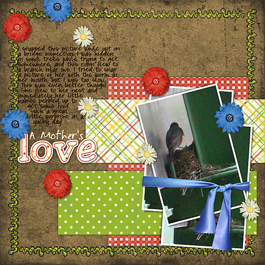 A-Mother_s-Love1