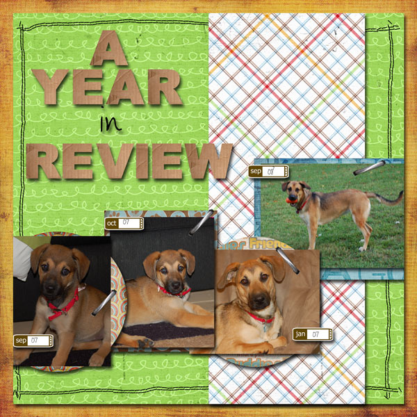 A-Year-in-Review1