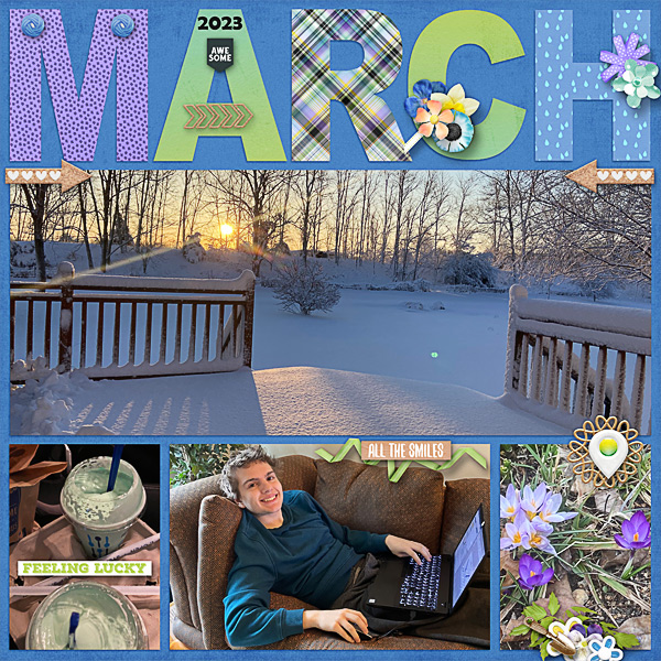 AM_wendyp-ayr-pageprotector-march1sm