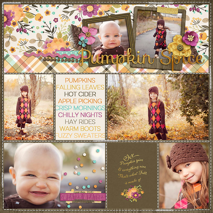 AS-NOV2010-pumpkin-spice