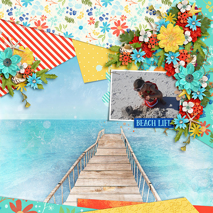 AS_-Sunshine-_HSA-bold-background-2-B-copy