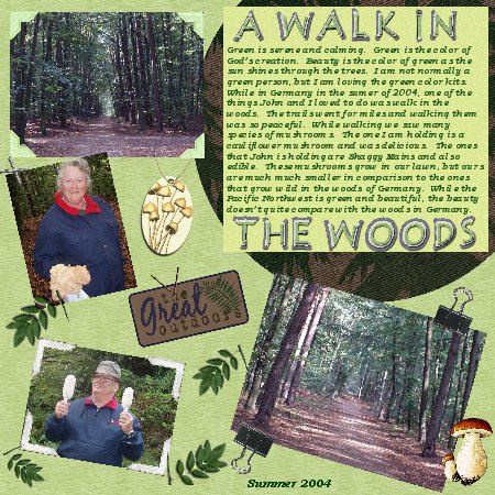 A_walk_in_the_woods_web