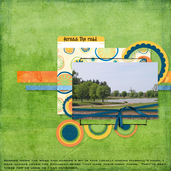 Across_the_road_small
