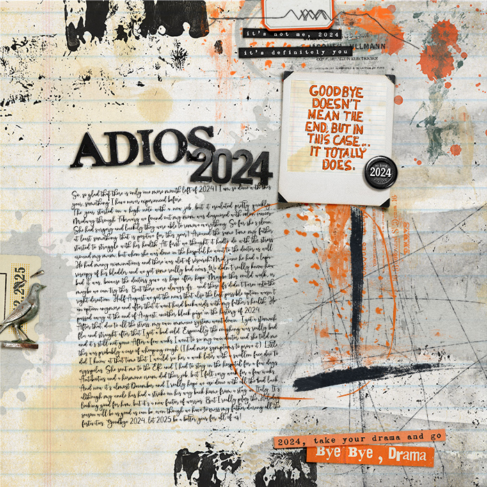 Adios2024web