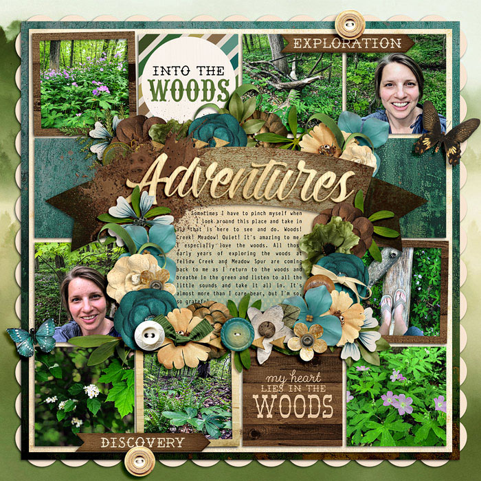 Adventures-into-the-woods