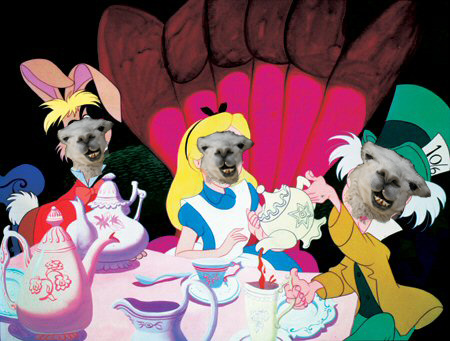 Alice-llama-in-llama-Land