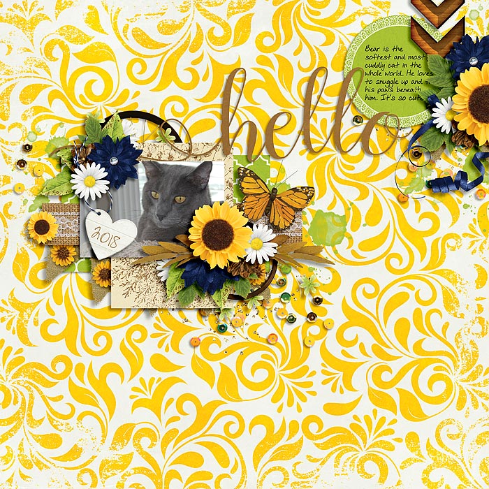 AmberM_GLsunflowerdays
