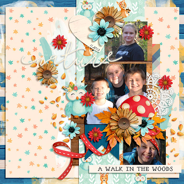 AmberM_KCBwoodlandforest