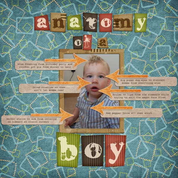 Anatomy-of-a-boy-600